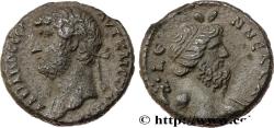 Ancient Coins - HADRIAN Alexandrie, Égypte 134-135 (23,5mm, 13,11g, 12h)