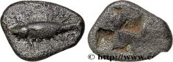 Ancient Coins - MYSIA – KYZIKOS / CYZICUS Cyzique c. 580-550 AC (6,5mm, 0,42g, h)