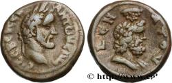 Ancient Coins - ANTONINUS PIUS Alexandrie, Égypte 145-146 (23,5mm, 14,17g, 12h)