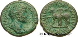 Ancient Coins - MARCUS AURELIUS Antioche d’Hippum, Décapole c. 161-169 (24mm, 10,21g, 1h)