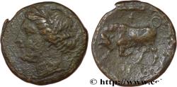 Ancient Coins - SICILY - SYRACUSE Syracuse, Sicile c. 317-310 AC. (21mm, 5,62g, 3h)