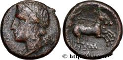 Ancient Coins - SICILY - SYRACUSE Syracuse, Sicile c. 287-278 AC. (20,5mm, 7,74g, 5h)