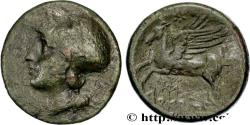 Ancient Coins - BRUTTIUM - LOCRI Locres Bruttium c. 280-275 AC. (23mm, 8,76g, 3h)