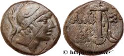 Ancient Coins - PONTUS - AMISOS Amisos, Pont c. 85-65 AC. (18,5mm, 8,38g, 12h)