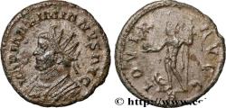Ancient Coins - MAXIMIANUS HERCULIUS Lyon 290-291 (22mm, 3,49g, 6h)