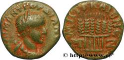 Ancient Coins - GORDIAN III Césarée, Cappadoce 244 (22mm, 7,35g, 12h)