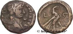 Ancient Coins - HADRIAN Alexandrie, Égypte 121-122 (23,5mm, 10,93g, 12h)