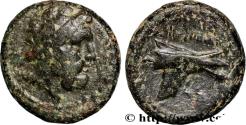 Ancient Coins - PHOENICIA - ARADOS Arados, Phénicie 206-51 AC. (16,5mm, 4,08g, 1h)