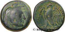 Ancient Coins - EGYPT - LAGID OR PTOLEMAIC KINGDOM - PTOLEMY VIII EUERGETES II Alexandrie, Égypte c. 145-116 AC. (23mm, 10,60g, 12h)