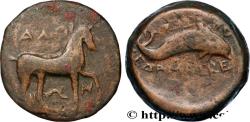 Ancient Coins - APULIA - SALAPIA Salapia, Apulie   c. 275-250 AC. (21,5mm, 8,99g, 10h)