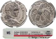 Ancient Coins - CARACALLA Antioche, Syrie, Séleucie et Piérie 214-215 (25,5mm, 13,27g, 5h)