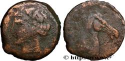 Ancient Coins - ZEUGITANA - CARTHAGE Sardaigne c. 264-241 AC. (28mm, 12,30g, 9h)