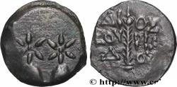 Ancient Coins - COLCHIS - DIOSKOUROS Dioscuras, Colchide c. 105-90 AC. (14,5mm, 2,37g, 12h)
