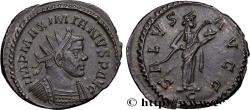 Ancient Coins - MAXIMIANUS HERCULIUS Lyon 290-291 (22mm, 5,86g, 6h)