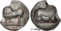 Ancient Coins - LUCANIA - SYBARIS Sybaris, Lucanie c. 530-510 AC. (29mm, 6,21g, 12h)