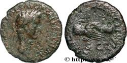 Ancient Coins - NERVA Rome 96 (27mm, 7,59g, 6h)