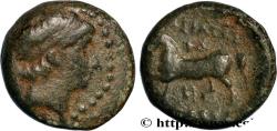 Ancient Coins - SYRIA - SELEUKID KINGDOM - SELEUKOS II KALLINIKOS Atelier secondaire (Antioche), Syrie c.  244-225 AC (14,5mm, 3,83g, 12h)