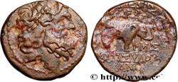 Ancient Coins - SYRIA - APAMEA Apamée, Syrie c. 57-56 AC. (20mm, 7,66g, 12h)
