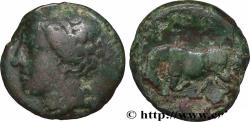 Ancient Coins - SICILY - SYRACUSE Syracuse, Sicile c. 275 - 269/265 AC. (19,5mm, 5,69g, 10h)