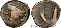 Ancient Coins - ZEUGITANA - CARTHAGE Sardaigne c. 241-238 AC. (20,5mm, 5,80g, 5h)