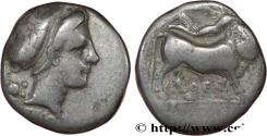 Ancient Coins - CAMPANIA - NEAPOLIS Naples c. 326/317-290 AC. (18,5mm, 7,08g, 1h)