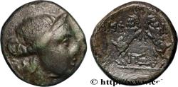 Ancient Coins - MACEDONIA - ROMAN PROVINCE Amphipolis, Macédoine c. 158-149 AC. (21,5mm, 6,70g, 12h)