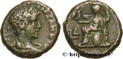 Ancient Coins - SEVERUS ALEXANDER  Alexandrie, Égypte 224-225 (22mm, 13,05g, 12h)