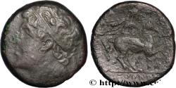 Ancient Coins - SICILY - SYRACUSE Syracuse c. 250 AC. (26mm, 17,01g, 5h)