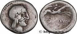 Ancient Coins - CALPURNIA Rome 67 AC. (15,5mm, 3,80g, 6h)