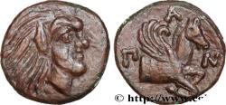 Ancient Coins - TAURIC CHERSONESE - PANTICAPEUM Panticapée, Chersonèse Taurique c.  310 -304/303 AC. (15,5mm, 2,46g, 12h)