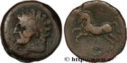 Ancient Coins - NUMIDIA - KINGDOM OF NUMIDIA - MASINISSA or MICIPSA Cirta, Numidie c. 150 AC. (26,5mm, 18,24g, 12h)