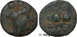 Ancient Coins - CILICIA - SOLOI Soloi, Cilicie c. 150-100 (17,5mm, 4,66g, 12h)