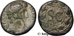 Ancient Coins - AUGUSTUS Antioche c. 5/6 - 11/12 (26mm, 19,43g, 12h)