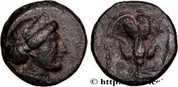 Ancient Coins - CARIA - CARIAN ISLANDS - RHODES Rhodes, Carie c. 350-304 AC. (10,5mm, 1,16g, 12h)