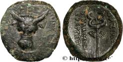 Ancient Coins - KINGS OF PAPHLAGONIA - PYLAIMENES III  Paphlagonie c. 103 AC (17mm, 3,67g, 12h)