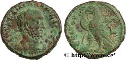 Ancient Coins - GALLIENUS Alexandrie, Égypte 261-262 (22mm, 10,08g, 12h)
