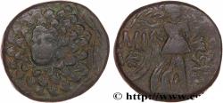 Ancient Coins - PONTUS - AMISOS Amisos, Pont c. 105-90 ou 90-85 AC. (19mm, 7,64g, 12h)