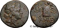 Ancient Coins - PONTUS - AMISOS Amisos, Pont c. 85-65 AC. (21,5mm, 8,45g, 12h)