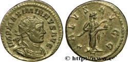 Ancient Coins - MAXIMIANUS HERCULIUS Lyon 289-290 (23,5mm, 4,51g, 12h)