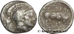 Ancient Coins - LUCANIA - THOURIOI Thurium, Lucanie c. 350-300 AC. (11mm, 1,02g, 12h)