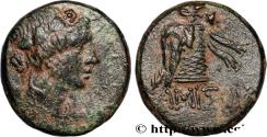 Ancient Coins - PONTUS - AMISOS Amisos, Pont c. 85-65 AC. (20,5mm, 8,23g, 12h)