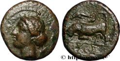 Ancient Coins - SICILY - SYRACUSE Syracuse, Sicile c. 317-310 AC. (15,5mm, 3,21g, 7h)