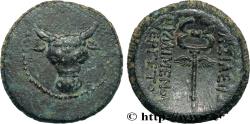 Ancient Coins - KINGS OF PAPHLAGONIA - PYLAIMENES III  Paphlagonie c. 103 AC (17mm, 4,05g, 12h)