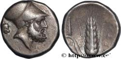 Ancient Coins - LUCANIA - METAPONTUM Métaponte c. 330 AC. (19,5mm, 7,76g, 11h)