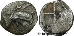 Ancient Coins - IONIA - TEOS Téos, Ionie c. 478-449 AC (7,5mm, 0,18g, -h)