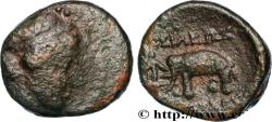 Ancient Coins - SYRIA - SELEUKID KINGDOM - ANTIOCHUS III THE GREAT Atelier incertain, Syrie c. 222-187 AC. (11mm, 1,79g, 12h)