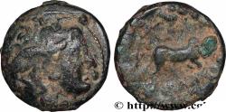 Ancient Coins - SYRIA - SELEUKID KINGDOM - SELEUKOS I NIKATOR Séleucie du Tigre, Babylonie c. 305-304 AC. (16mm, 3,25g, 6h)