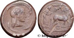 Ancient Coins - SICILY - SYRACUSE Syracuse c. 485-480 AC. (24,5mm, 17,22g, 4h)