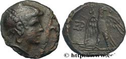 Ancient Coins - MACEDONIA - MACEDONIAN KINGDOM - PERSEUS Amphipolis,, Macédoine c. 171-168 AC (19mm, 4,70g, 11h)