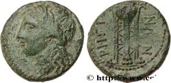 Ancient Coins - BRUTTIUM - REGGIO Bruttium, Rhégium c. 218-213 AC. (20,5mm, 5,75g, 9h)